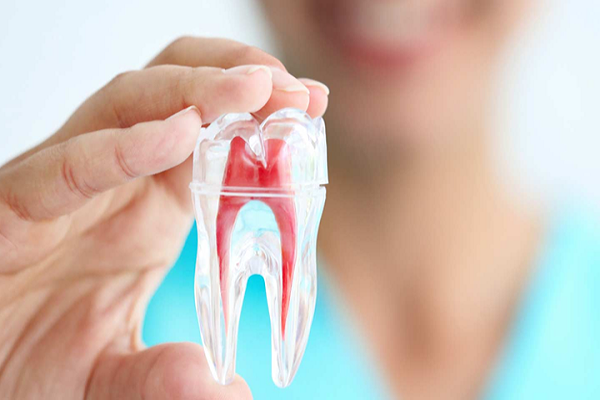 آشنایی با خدمات رایج دندانپزشکی